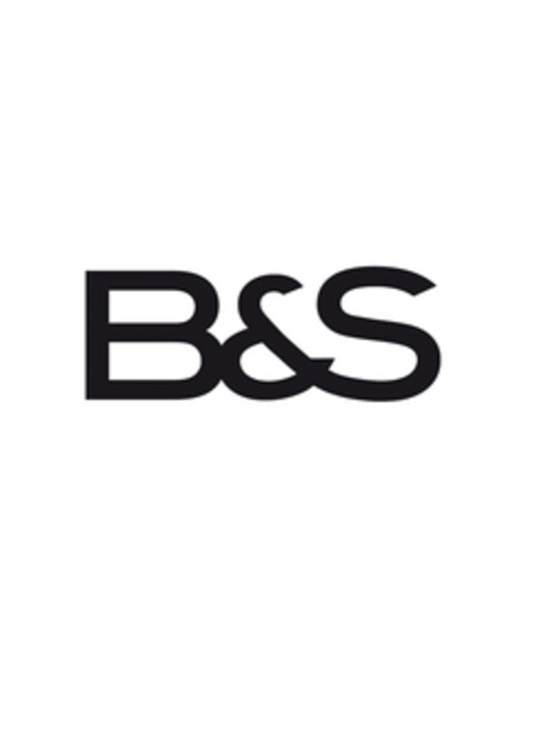 B&S Logo (EUIPO, 21.02.2007)