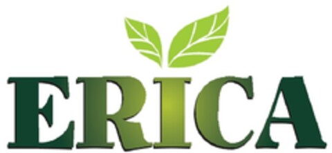 ERICA Logo (EUIPO, 03/29/2013)