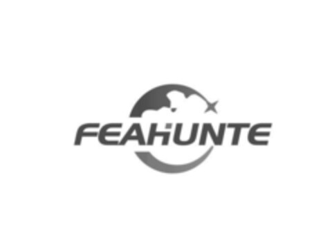 FEAHUNTE Logo (EUIPO, 07.05.2018)