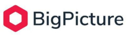 BigPicture Logo (EUIPO, 12/09/2021)