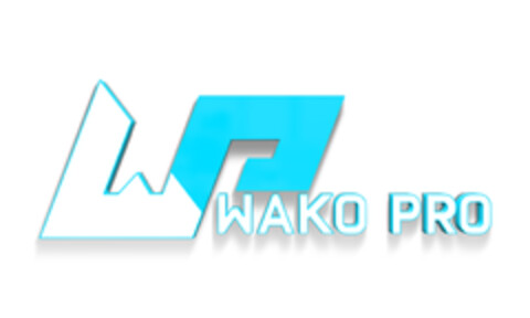 WAKO PRO Logo (EUIPO, 02/09/2022)