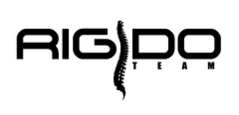 RIGIDO TEAM Logo (EUIPO, 04.01.2010)