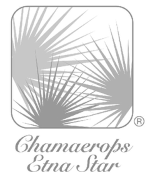 chamaerops Etna Star Logo (EUIPO, 03/15/2010)