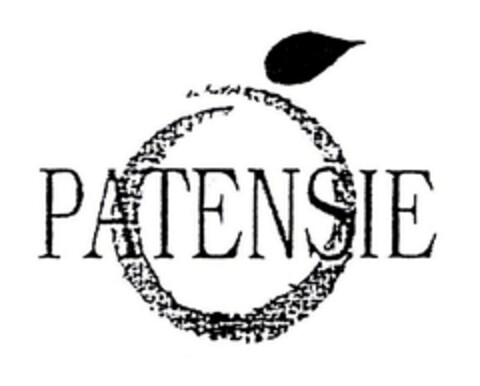 PATENSIE Logo (EUIPO, 03/11/2004)