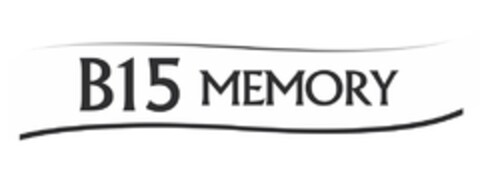 B15 MEMORY Logo (EUIPO, 27.04.2015)