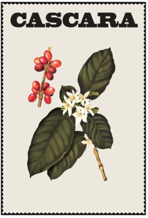 CASCARA Logo (EUIPO, 08.04.2016)