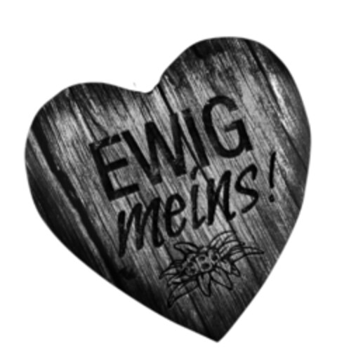 EWIG meins! Logo (EUIPO, 08/18/2016)