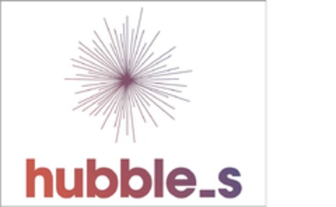 hubble_s Logo (EUIPO, 14.07.2021)