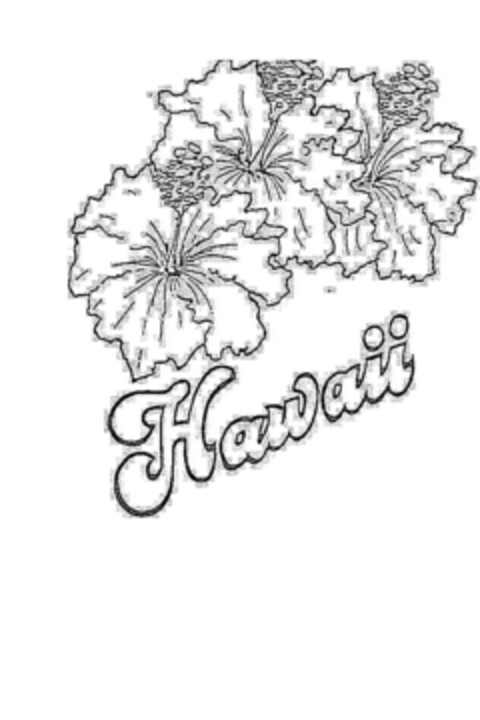 Hawaii Logo (EUIPO, 04.12.2007)