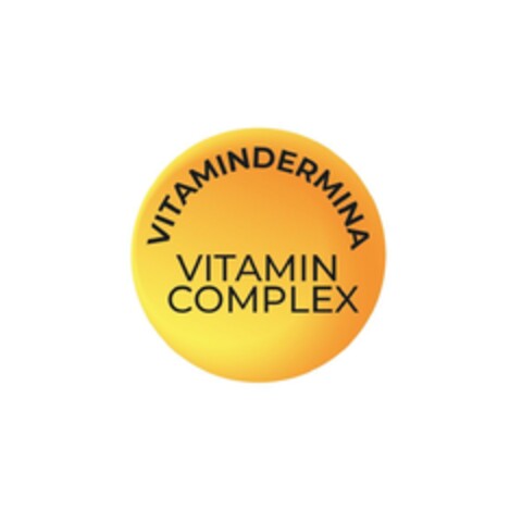 VITAMINDERMINA VITAMIN COMPLEX Logo (EUIPO, 11.07.2023)