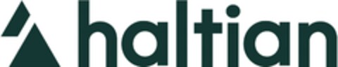 haltian Logo (EUIPO, 08.02.2024)