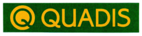 Q QUADIS Logo (EUIPO, 06/04/1999)