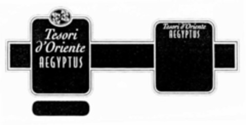 Tesori d'Oriente AEGYPTUS Logo (EUIPO, 14.10.2002)