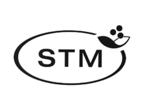 STM Logo (EUIPO, 10.06.2005)