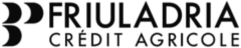 FRIULADRIA CRÉDIT AGRICOLE Logo (EUIPO, 22.02.2008)