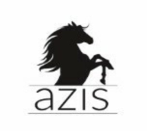 AZIS Logo (EUIPO, 21.06.2016)