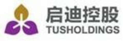 TUSHOLDINGS Logo (EUIPO, 02.03.2018)