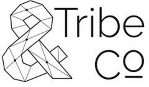 TRIBE & CO Logo (EUIPO, 18.04.2020)