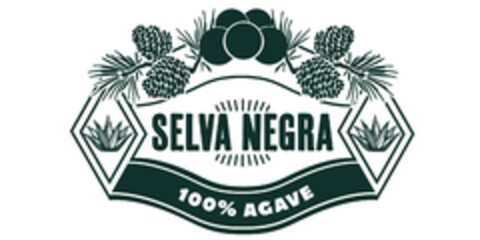 SELVA NEGRA 100 % AGAVE Logo (EUIPO, 01/16/2023)