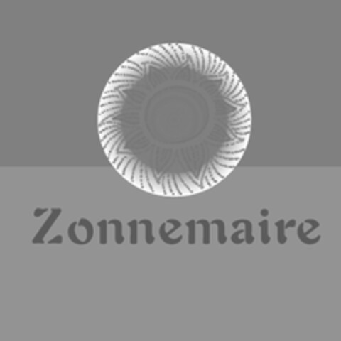 Zonnemaire Logo (EUIPO, 29.12.2010)