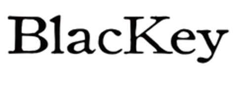 BlacKey Logo (EUIPO, 02.07.2015)