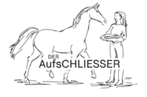 DER AufsCHLIESSER Logo (EUIPO, 08.02.2021)