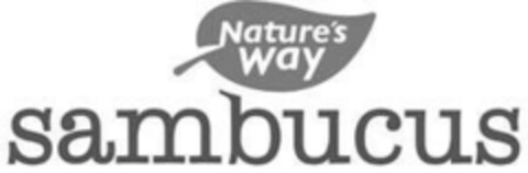 Nature's Way sambucus Logo (EUIPO, 03/24/2021)