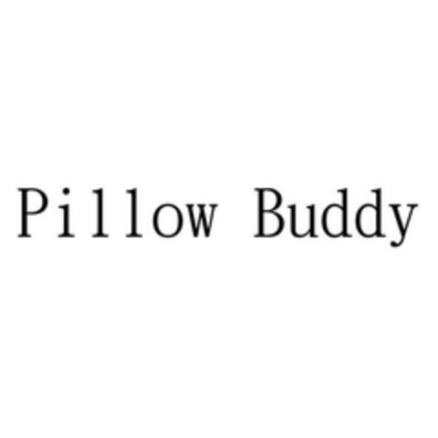 Pillow Buddy Logo (EUIPO, 03/20/2024)