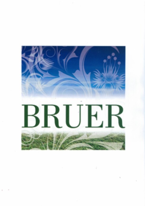 BRUER Logo (EUIPO, 08/23/2010)