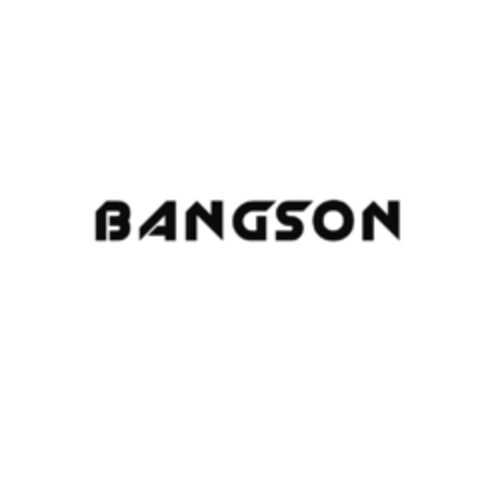 BANGSON Logo (EUIPO, 09.06.2021)