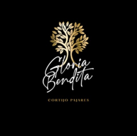 Gloria Bendita CORTIJO PAJARES Logo (EUIPO, 10/28/2021)