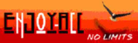 ENJOY-ALL NO LIMITS Logo (EUIPO, 02.07.2007)
