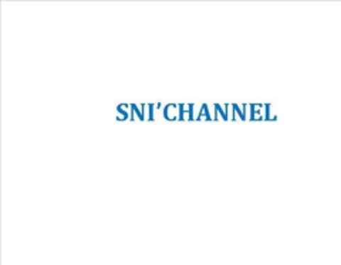 SNI'CHANNEL Logo (EUIPO, 08/14/2015)