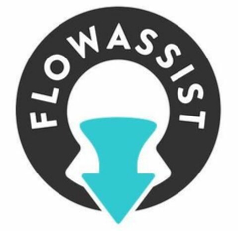 FLOWASSIST Logo (EUIPO, 11/29/2018)