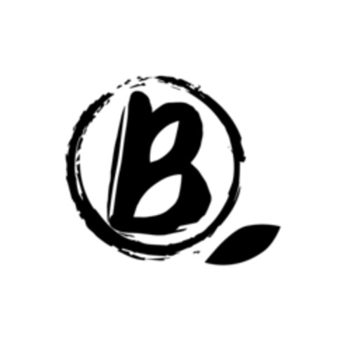 B Logo (EUIPO, 12/02/2021)