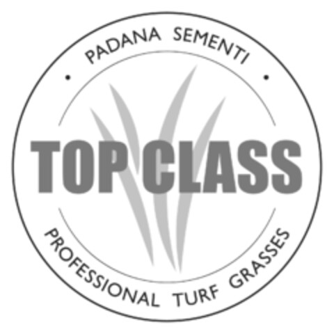 PADANA SEMENTI TOP CLASS PROFESSIONAL TURF GRASSES Logo (EUIPO, 21.12.2021)