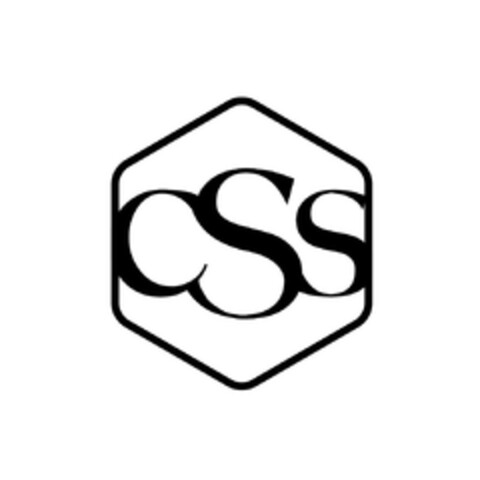 CSS Logo (EUIPO, 19.12.2023)
