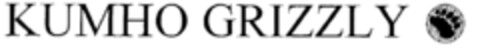 KUMHO GRIZZLY Logo (EUIPO, 23.10.1996)