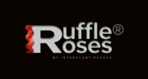 Ruffle Roses BY INTERPLANT ROSES Logo (EUIPO, 11/24/2015)