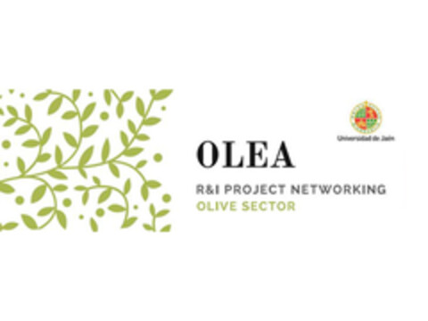 OLEA R&I PROJECT NETWORKING OLIVE SECTOR UNIVERSIDAD DE JAÉN Logo (EUIPO, 11.07.2018)