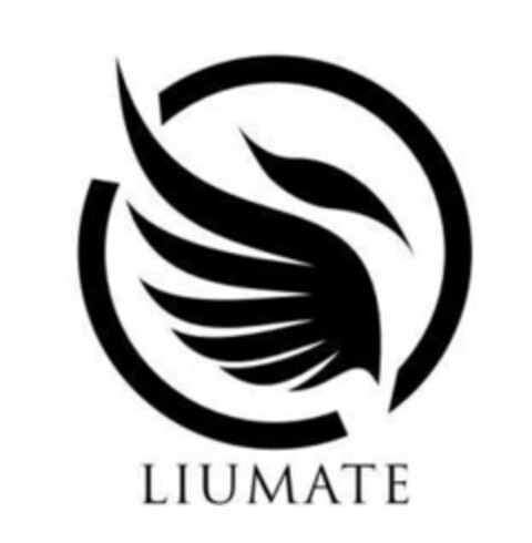 LIUMATE Logo (EUIPO, 26.02.2022)