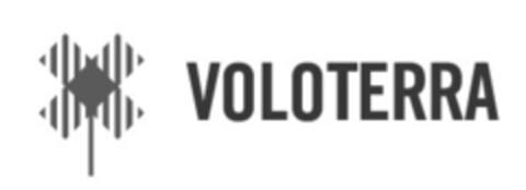 VOLOTERRA Logo (EUIPO, 01.03.2022)