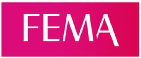 FEMA Logo (EUIPO, 03/30/2022)