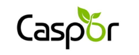 Caspor Logo (EUIPO, 16.09.2023)