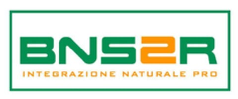 BNSSR INTEGRAZIONE NATURALE PRO Logo (EUIPO, 27.12.2024)