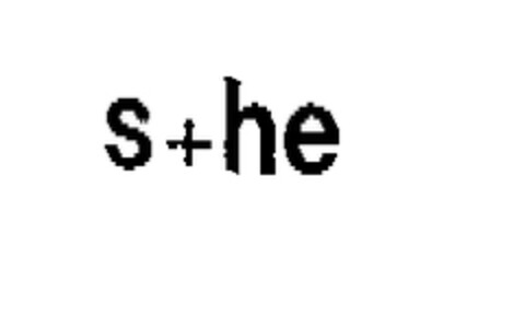 s+he Logo (EUIPO, 16.12.2003)