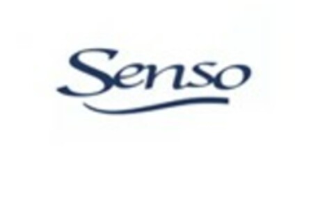 Senso Logo (EUIPO, 26.07.2004)