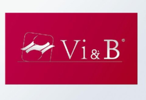 Vi & B Logo (EUIPO, 06/01/2010)