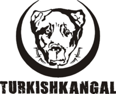 TURKISHKANGAL Logo (EUIPO, 12/08/2013)