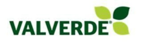 VALVERDE Logo (EUIPO, 13.02.2023)
